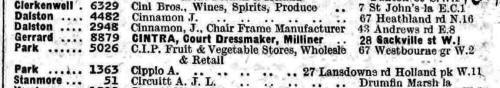 1924 Directory Entry for Cintra