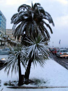 Promenade des Anglais with snow !