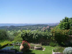 Opio from Sunset House