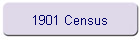 1901 Census