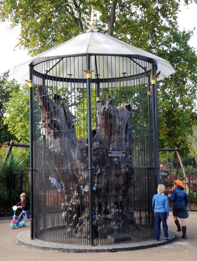 The Elfin Oak in Kensington Gardens - detail